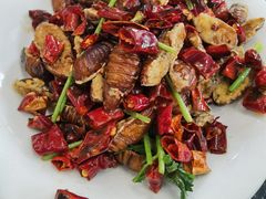 干煸蚕蛹-胶东海鲜大排档(北太平庄店)