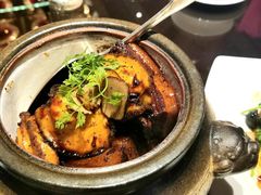 黑松露鲍鱼红烧肉-北京四季酒店·采逸轩