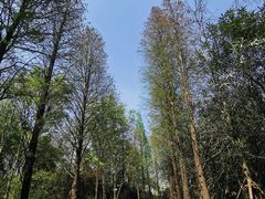 -狼山风景名胜区