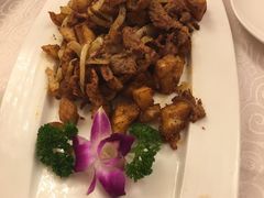 -楼兰印象(朝外店)