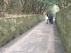 -普陀山慧济禅寺
