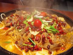 -老板恋上鱼(高新万达店)