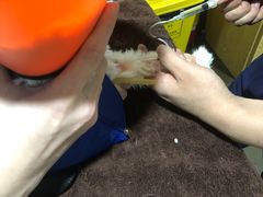 -MOLLY'S萌宠生活馆