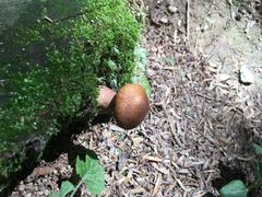 -山王坪喀斯特国家生态公园