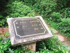 -广州兰圃