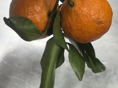 -面辣子·陕西家乡菜(钟楼店)