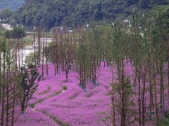 -溪口-滕头旅游景区