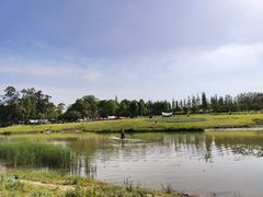 -两河城市森林公园