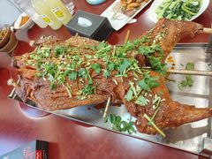 -杨正宗烤全羊(北二环店)