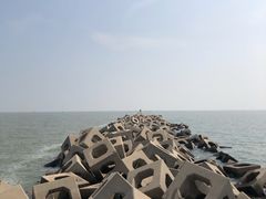 -东疆建设开发纪念公园