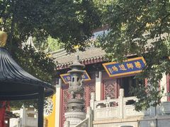 -雨花胜境