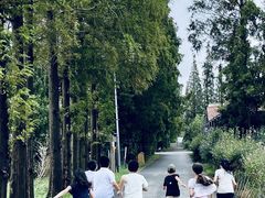 -前小桔亲子创意农场·草莓采摘·露营烧烤