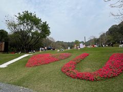 -云溪植物园