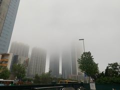 -老佛爷蛙锅•鲜蛙煲(麦凯乐店)