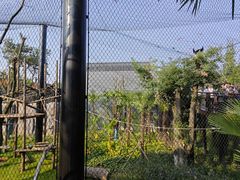 -武汉动物园