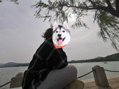 -济南国际园博园