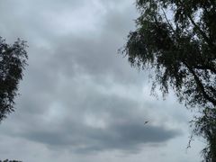 -长春北湖公园