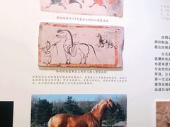 景点-南越王博物院(王宫展区)