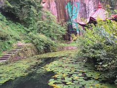 -莫干山风景区