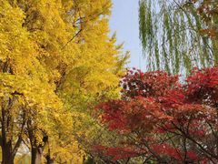 -苏州市立医院本部母子保健中心