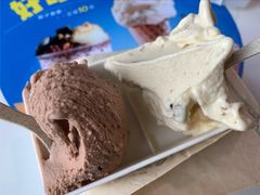 都灵夜冰淇淋-野人牧坊Gelato(天津南开大悦城店)