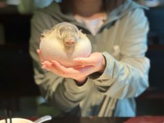 -永安鱼庄·镇江菜(东吴路店)