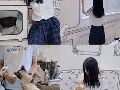 -白夜2D咖啡馆