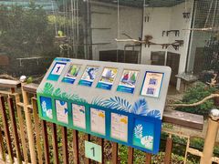 -九龙公园