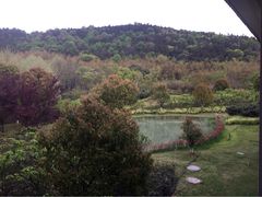 环秀晓筑养生度假村-苏州环秀晓筑养生度假村