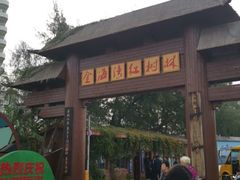 -北海金海湾红树林生态旅游区