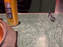 -牛New寿喜烧(金鹰世界店)
