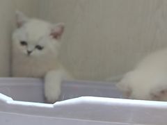 -乐宠宠物店(世纪金源店)