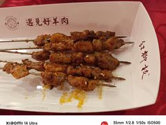 -红柳枝滩羊烧烤·非遗