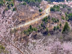 -香山公园
