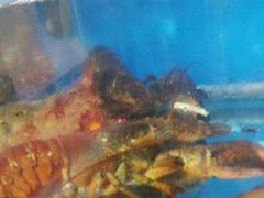 -宾朋海鲜特色美食餐厅·纯手工鲅鱼水饺(兴海路店)