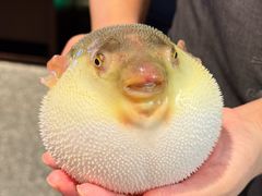 -永安鱼庄·镇江菜(东吴路店)