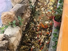 -清真·京华源铜锅涮肉(丰庆店)