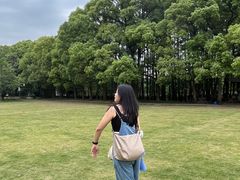 -东湖落雁景区