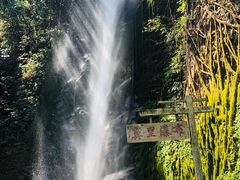 -莫里热带雨林景区