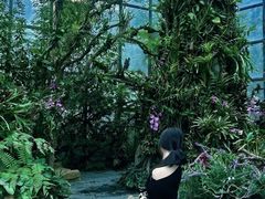 -东莞植物园