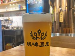 -玩啤国度精酿啤酒(宝山店)