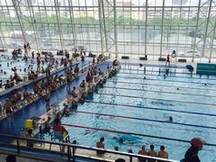 深圳大学城游泳馆-深圳大学城（南区）体育中心-游泳馆