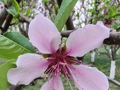 -汉长安城未央宫国家考古遗址公园