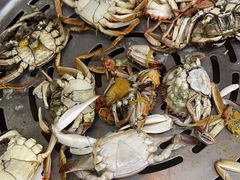 -港畔赶海蒸汽海鲜烧烤自助(仙螺岛店)