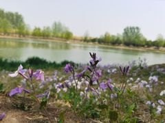 -东郊湿地公园