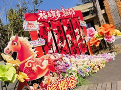 -海南槟榔谷黎苗文化旅游区