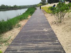-东郊湿地公园