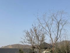 -徂徕山森林康养度假谷温泉