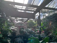 -呀路古热带植物园