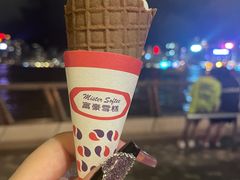 -富豪雪糕车流动点(尖沙咀店)